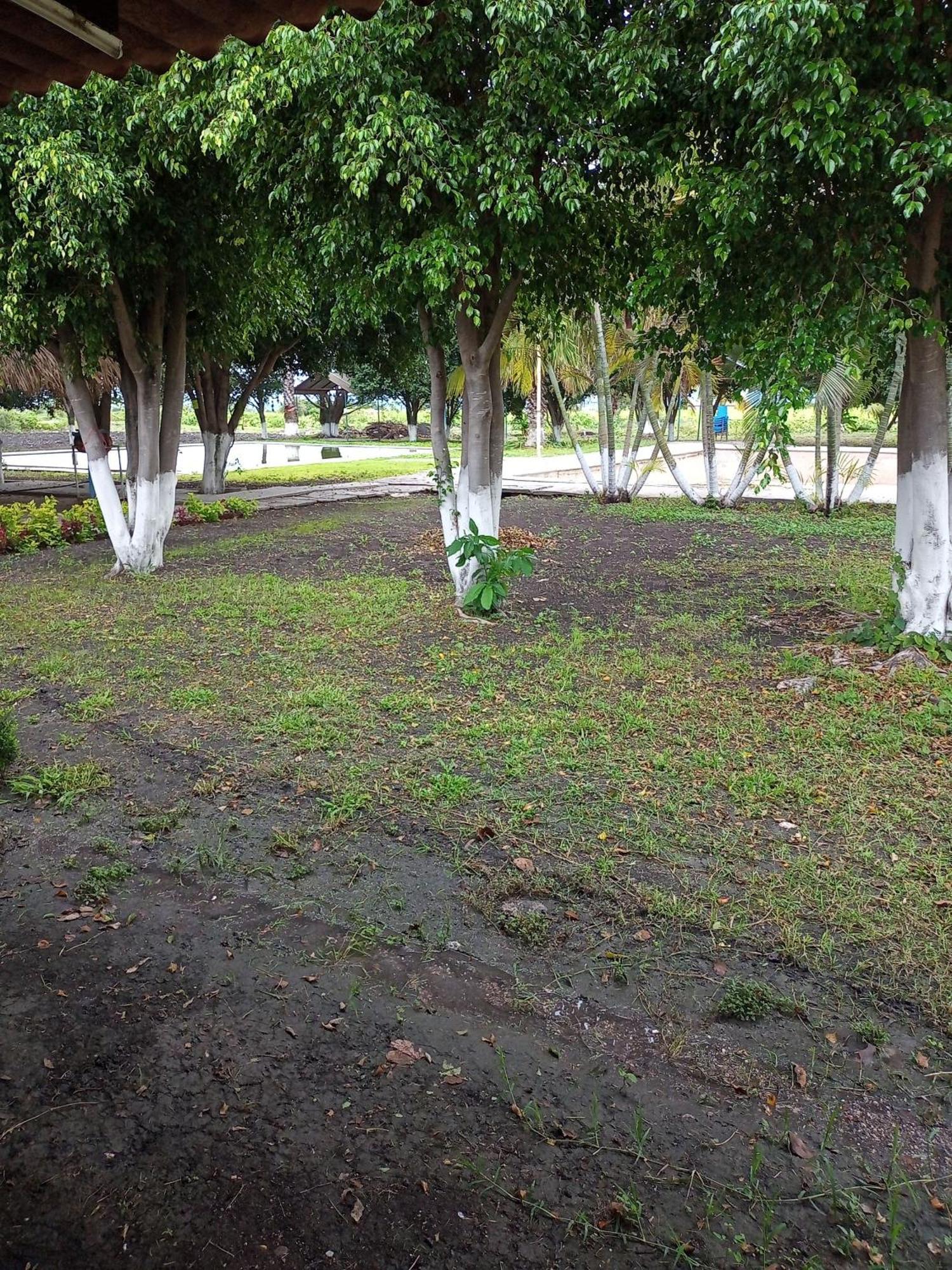 Room In Guest Room - Lodging And Camping The Island Tlaquiltenango Exterior foto